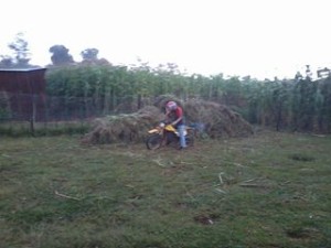 mulch on bike