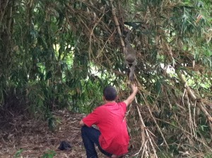 Jonah's patience was rewarded as he got a Capuchin monkey to eat out of his hand! Very rewarding for our critter-loving son. :)