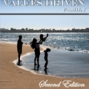 The Values-Driven Family paperback